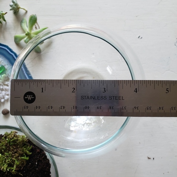 Terrarium kits - Picture 5 of 6